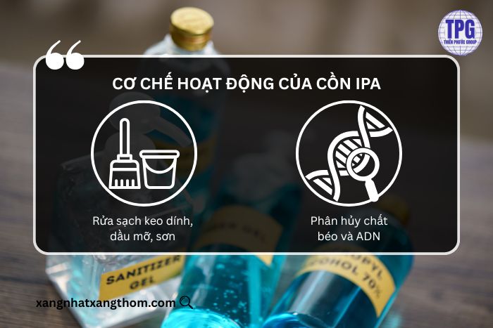 Cơ chế hoạt động của cồn IPA
