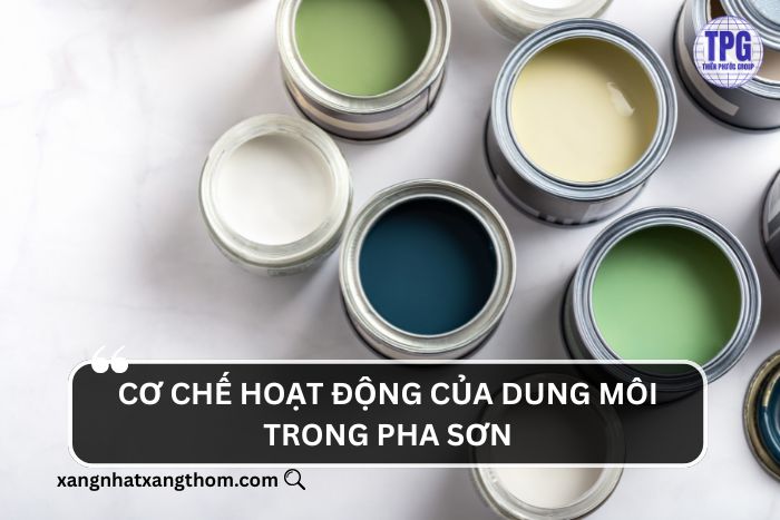 Cơ chế hoạt động của dung môi pha sơn 